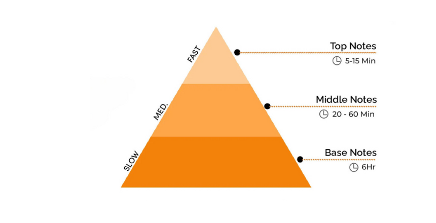 pirâmide de perfumes